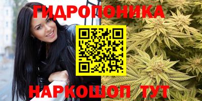 2c-b Заводоуковск