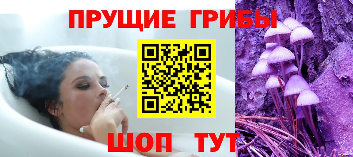 Кызыл  Галлюциногенные грибы GOLDEN TEACHER  Вход с VPN 