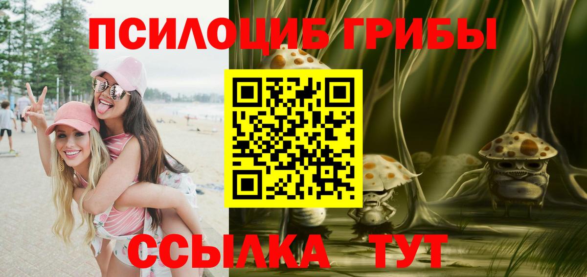 Псилоцибиновые грибы GOLDEN TEACHER Кызыл